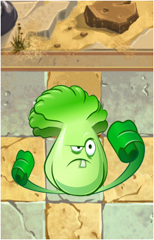 Bonk Choy's image