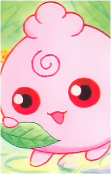 Jigglypuff (Species)