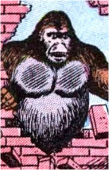 Man-Ape's image