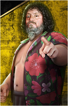 Captain Lou Albano's image