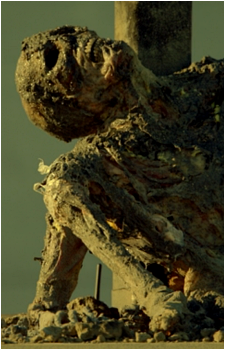 Baldwin Pennypacker's image