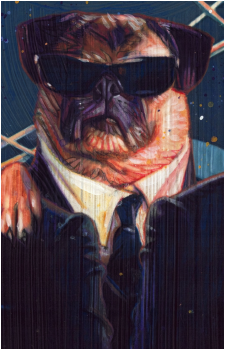 Frank the Pug's image