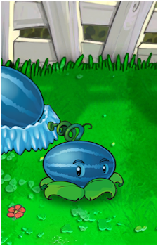 Melon-pult