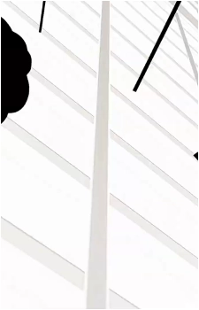 Neru
