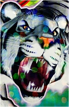 Kid, the Tiger's image