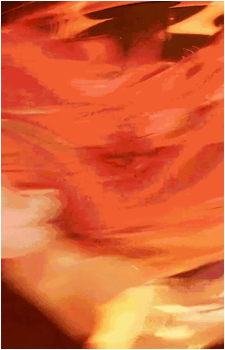 Image 210