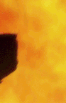 Image 207