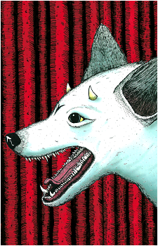 Rumo's image