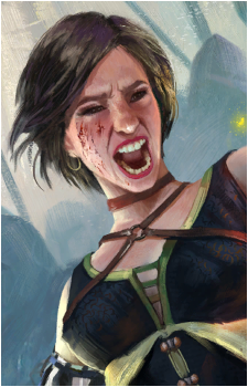 Fringilla Vigo