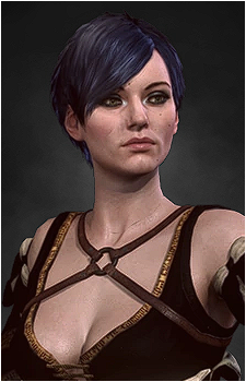 Fringilla Vigo