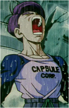Image 7 of Future Trunks