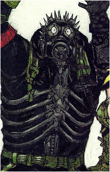 Image 31