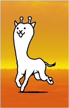 Cow Cat