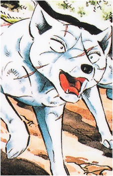 Kyoshiro Shirogane's image