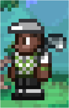 The Golfer's image