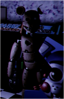 Image 4 Image 4