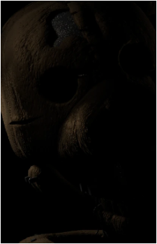 Image 9 Image 9