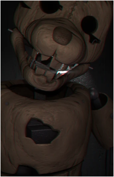 Image 7 Image 7
