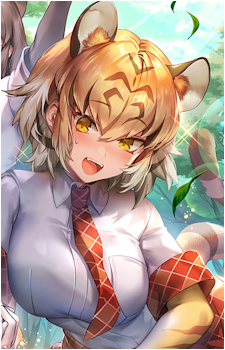 Sumatran Tiger