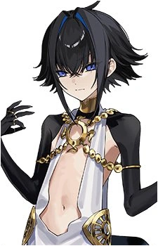 Raven's image