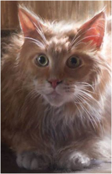 Buttercup's image