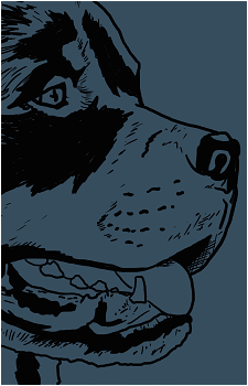 El Cofi's image
