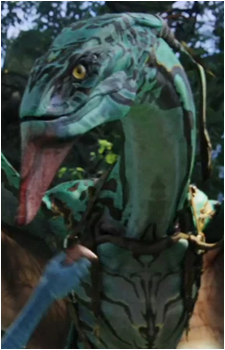 Seze's image