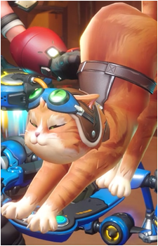 Jetpack Cat
