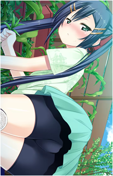 Takano Sakurabashi