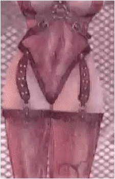 Fujiko Hinomoto