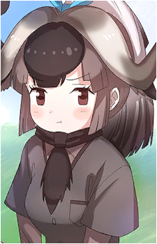 Black Wildebeest