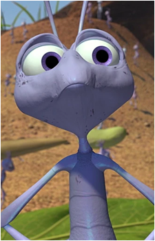 Mr. Soil's image