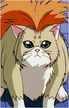 Ura the Armor Cat