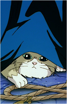 Ura the Armor Cat