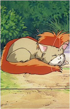 Ura the Armor Cat