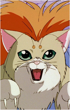 Ura the Armor Cat