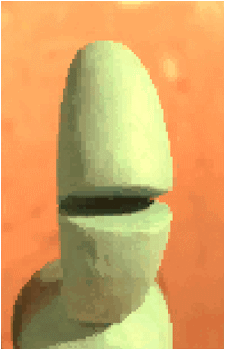 FwaSheep's image
