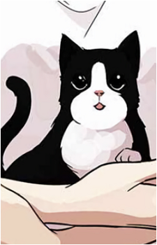 Ryan the Cat's image