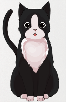 Ryan the Cat