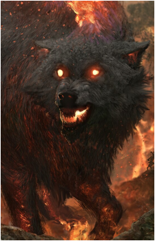 Wildsear's image