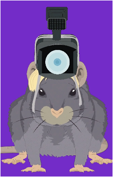 Wikileaks's image
