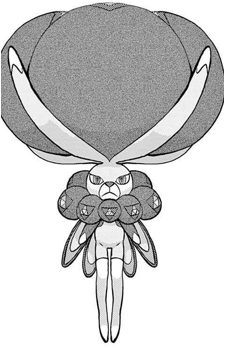 Image 13 Image 13