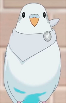 Yukimaru's image