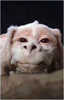 Falkor