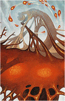 Mannichi's image