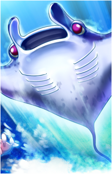 Nimble Manta's image