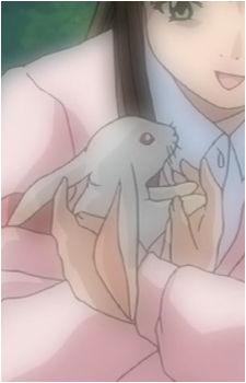 Shirotabi's image