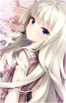 Image 3 Image 3