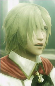 Image 7 Image 7