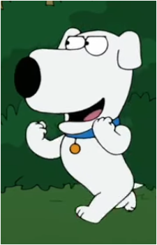 Scrappy Brian